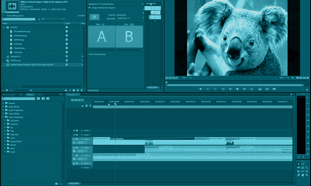 Adobe Audition 3 Ac3 Plugin For Mac